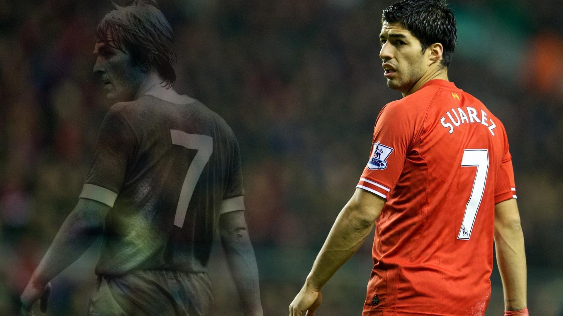 意大利马术协会建立马匹基因数据库，促进马匹选育与训练。，意大利马具