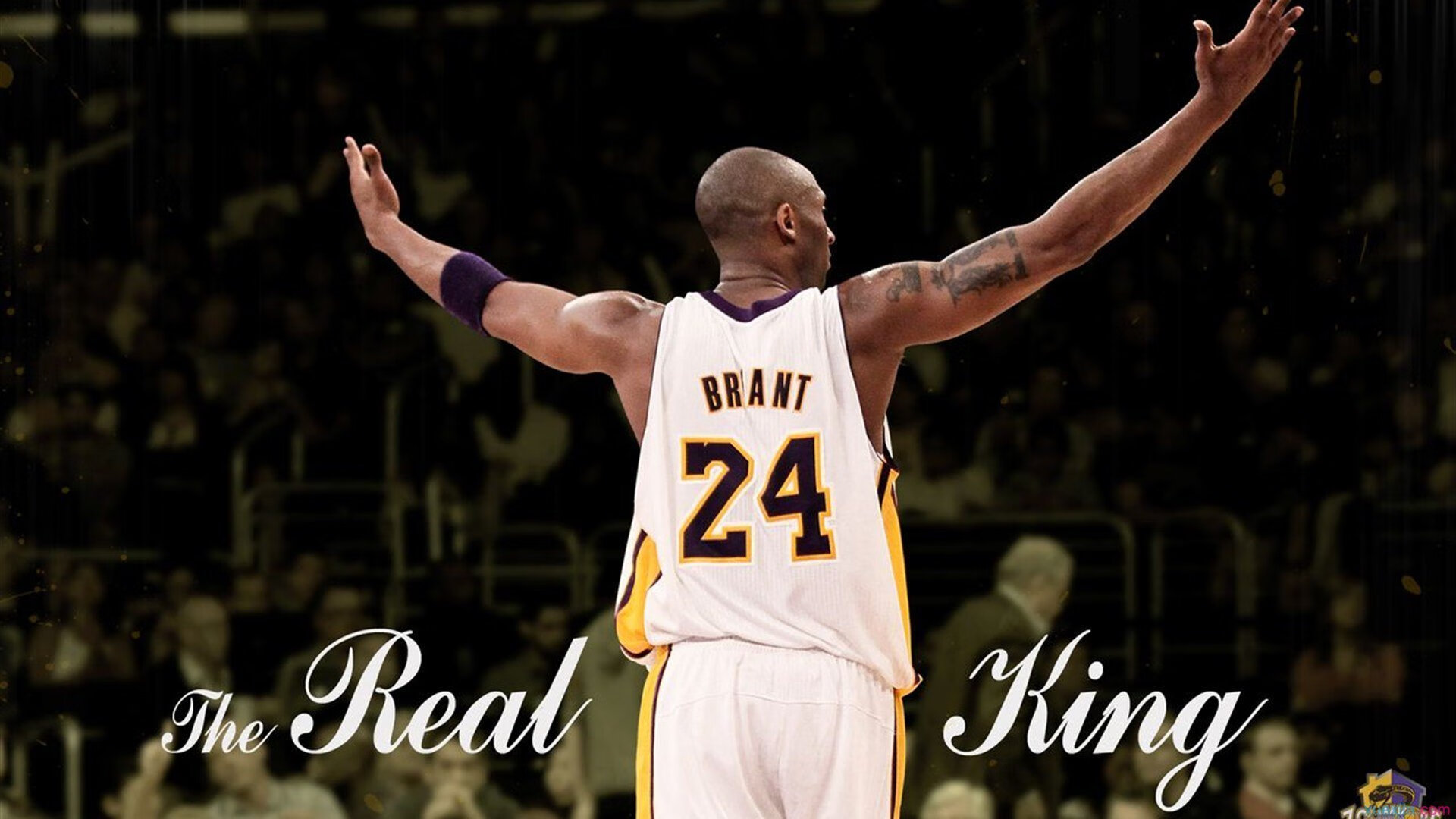 是否应开放联盟比赛多语言解说系统